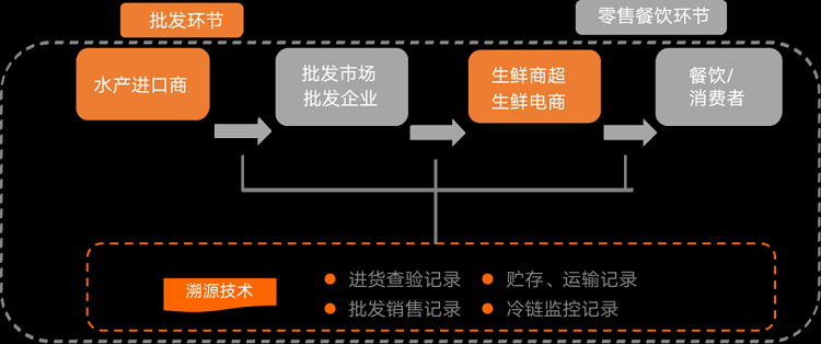 SGS赋能海鲜水产行业 构建餐饮供应链质量安全管理的坚固防线